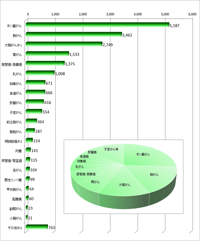 20,000例を超える圧倒的な症例実績